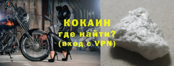 шишки Бородино