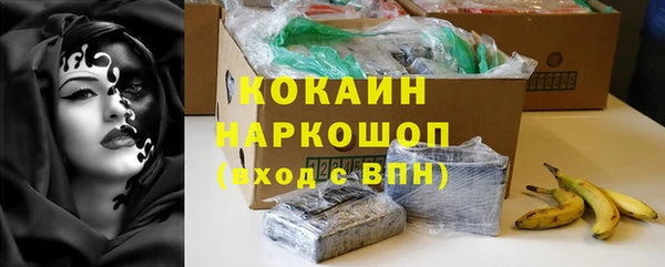 гидра Зуевка