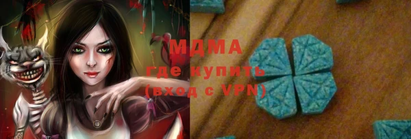 шишки Бородино