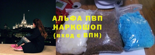 шишки Бородино