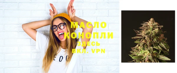 шишки Бородино