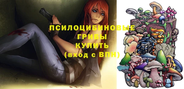 spice Бронницы