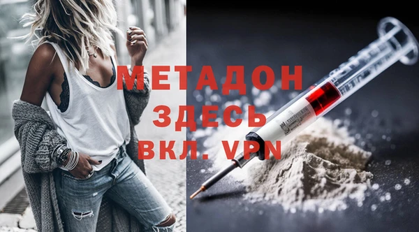 шишки Бородино