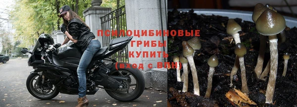 первитин Беломорск