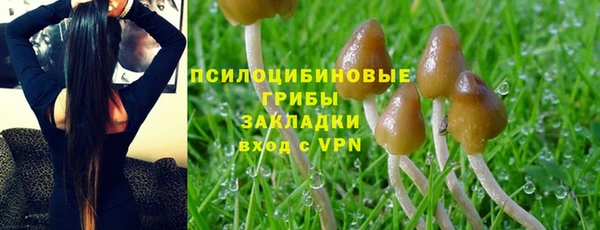 СК Бугульма