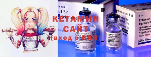 шишки Бородино