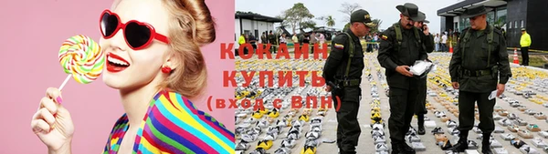 шишки Бородино